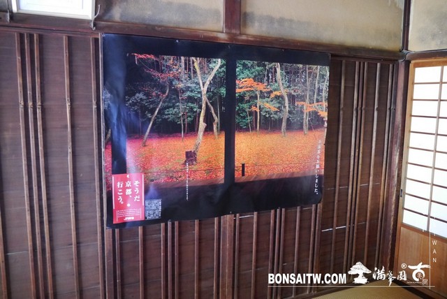 P1060993 [日本庭園]高桐院．京都 日本庭園(Japanese Garden)