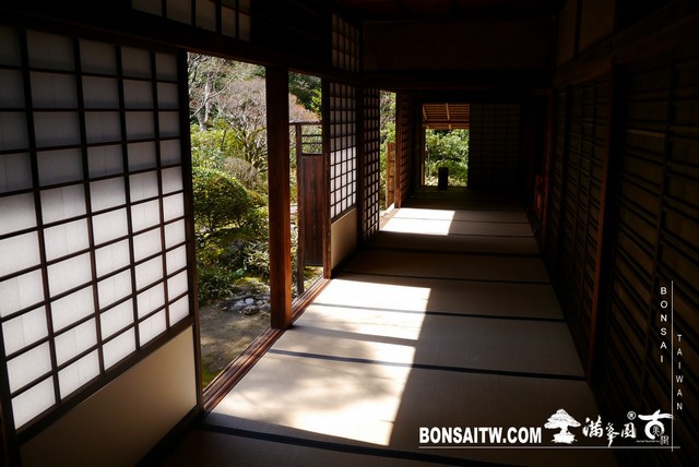 P1070005 [日本庭園]高桐院．京都 日本庭園(Japanese Garden)