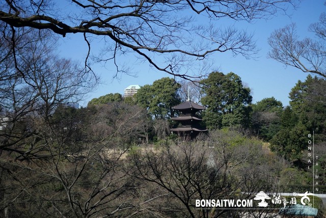 P1240786 [建築與空間]椿山莊．東京 建築與空間(architecture and space)