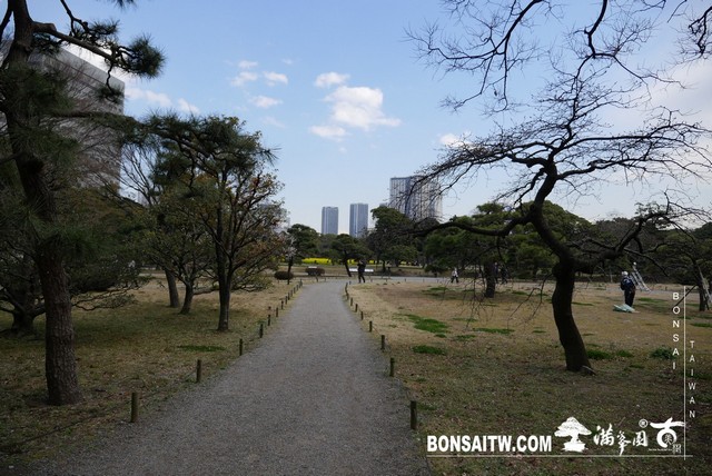 P1240880 [日本庭園]浜離宮恩賜庭園．東京