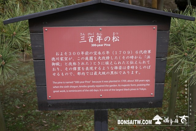 P1240899 [日本庭園]浜離宮恩賜庭園．東京