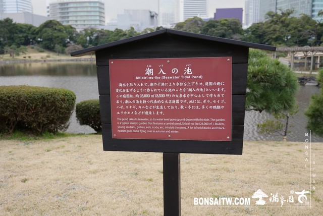 P1240921 [日本庭園]浜離宮恩賜庭園．東京