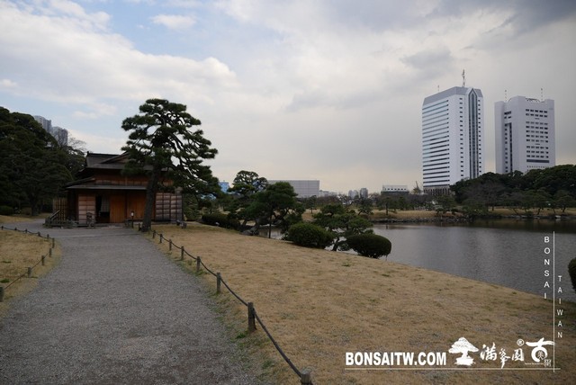 P1240922 [日本庭園]浜離宮恩賜庭園．東京
