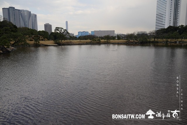 P1240935 [日本庭園]浜離宮恩賜庭園．東京