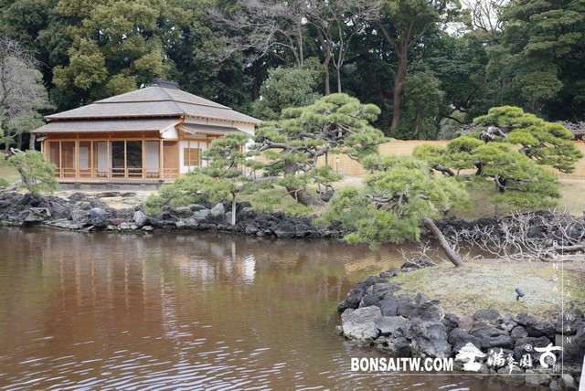 P1240938 [日本庭園]浜離宮恩賜庭園．東京