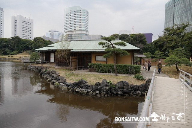 P1240940 [日本庭園]浜離宮恩賜庭園．東京