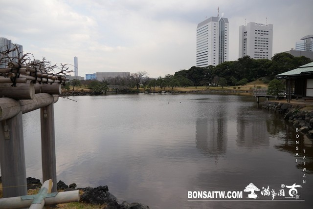 P1240943 [日本庭園]浜離宮恩賜庭園．東京