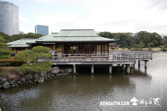 P1240953 [日本庭園]浜離宮恩賜庭園．東京