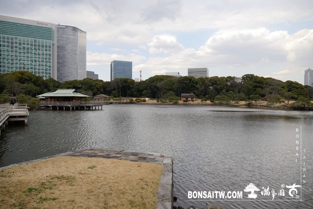 P1240968 [日本庭園]浜離宮恩賜庭園．東京