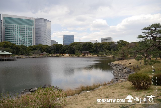 P1240976 [日本庭園]浜離宮恩賜庭園．東京