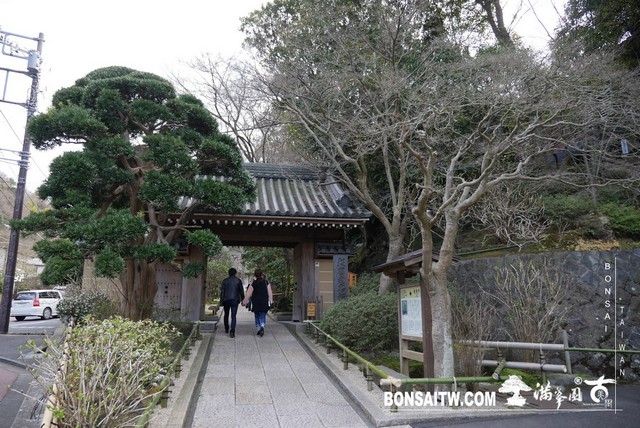 P1250442 [日本庭園]報國寺．鐮倉 日本庭園(Japanese Garden)