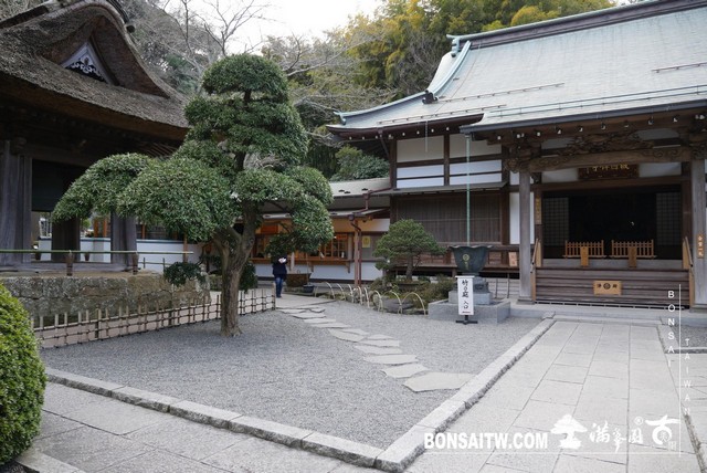 P1250462 [日本庭園]報國寺．鐮倉 日本庭園(Japanese Garden)