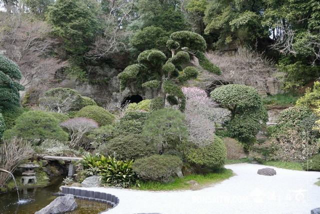 P1250513 [日本庭園]報國寺．鐮倉 日本庭園(Japanese Garden)
