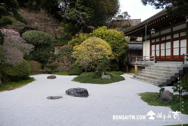 P1250530 [日本庭園]報國寺．鐮倉 日本庭園(Japanese Garden)