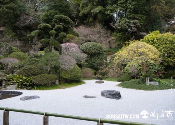 P1250549 [日本庭園]報國寺．鐮倉 日本庭園(Japanese Garden)