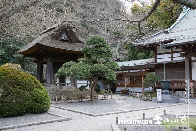 P1250589 [日本庭園]報國寺．鐮倉 日本庭園(Japanese Garden)