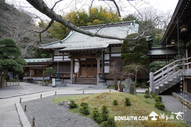 P1250592 [日本庭園]報國寺．鐮倉 日本庭園(Japanese Garden)