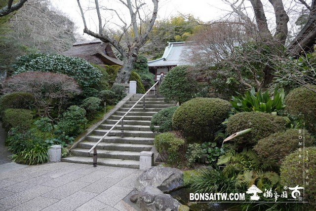 P1250620 [日本庭園]報國寺．鐮倉 日本庭園(Japanese Garden)