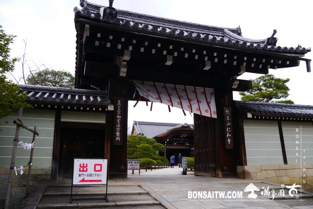 P1360575 [日本庭園]仁和寺．京都