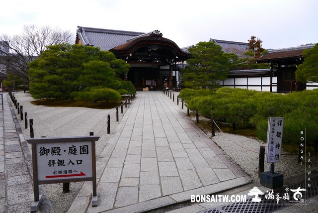 P1360582 [日本庭園]仁和寺．京都