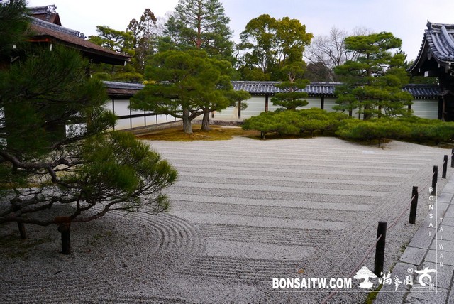 P1360596 [日本庭園]仁和寺．京都