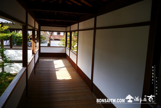 P1360616 [日本庭園]仁和寺．京都