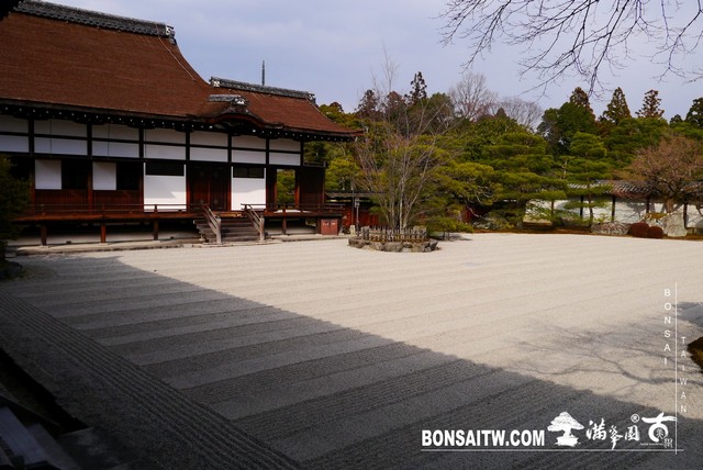 P1360631 [日本庭園]仁和寺．京都