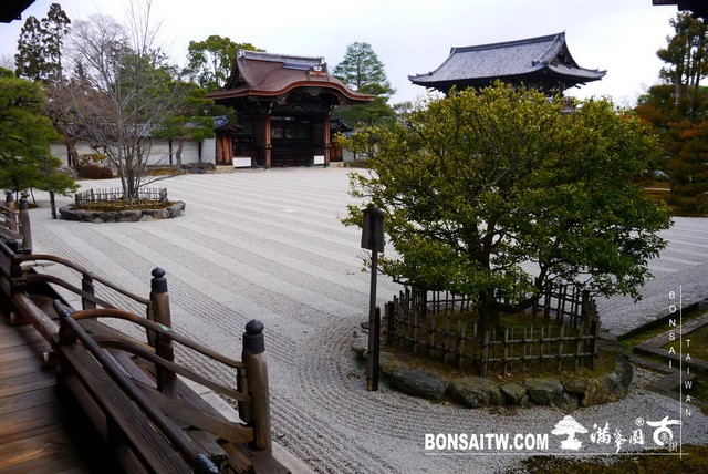 P1360681 [日本庭園]仁和寺．京都