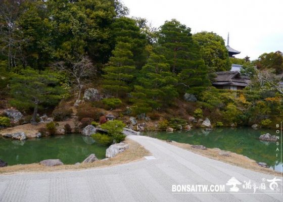 P1360726 [日本庭園]仁和寺．京都 寺院