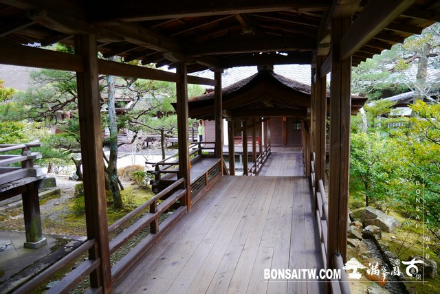 P1360767 [日本庭園]仁和寺．京都