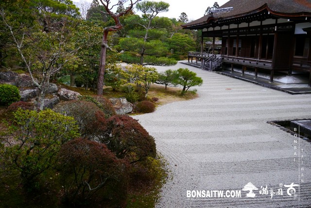 P1360791 [日本庭園]仁和寺．京都