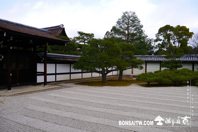 P1360813 [日本庭園]仁和寺．京都