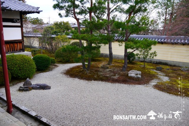 P1360864 [日本庭園]等持院．京都(1)