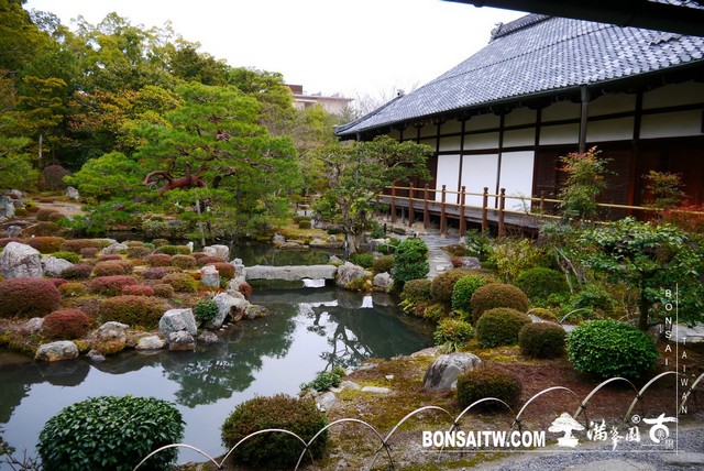P1360909 [日本庭園]等持院．京都(2)
