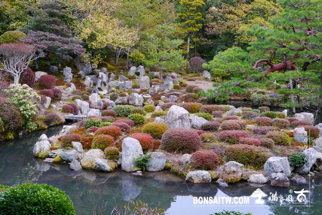 P1360913 [日本庭園]等持院．京都(2)