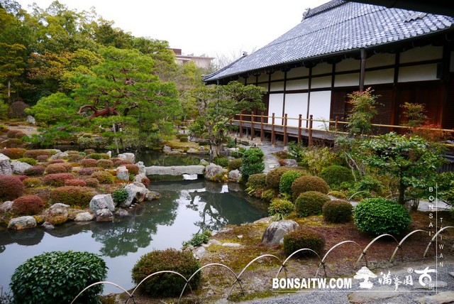 P1360915 [日本庭園]等持院．京都(2)
