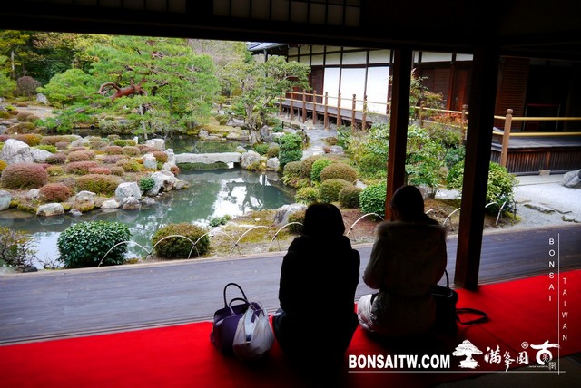 P1360917 [日本庭園]等持院．京都(2)