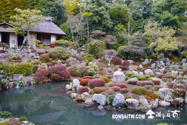 P1360926 [日本庭園]等持院．京都(2)