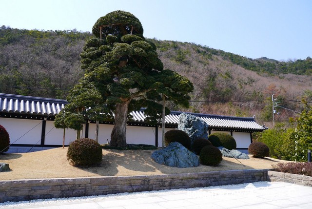 P1370068 [日本庭園]念佛宗無量壽寺．兵庫縣(1) 建築與空間(architecture and space)