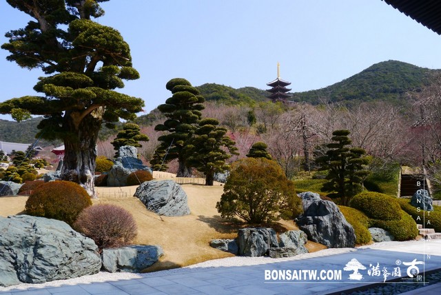 P1370228 1 [日本庭園]念佛宗無量壽寺．兵庫縣(2)