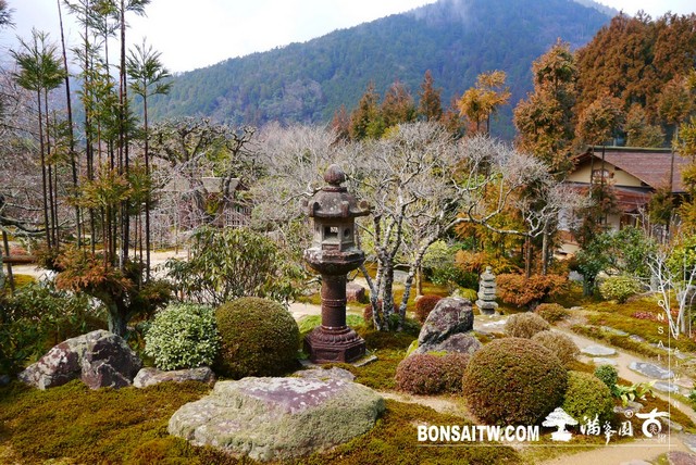 P1380189 1 [日本庭園]實光院(Jikko-in Temple)