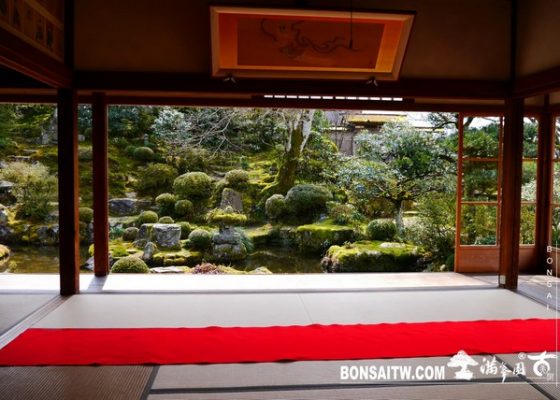 P1380223 1 [日本庭園]實光院(Jikko-in Temple) 寺院