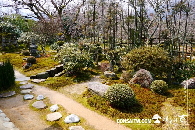 P1380232 1 [日本庭園]實光院(Jikko-in Temple)