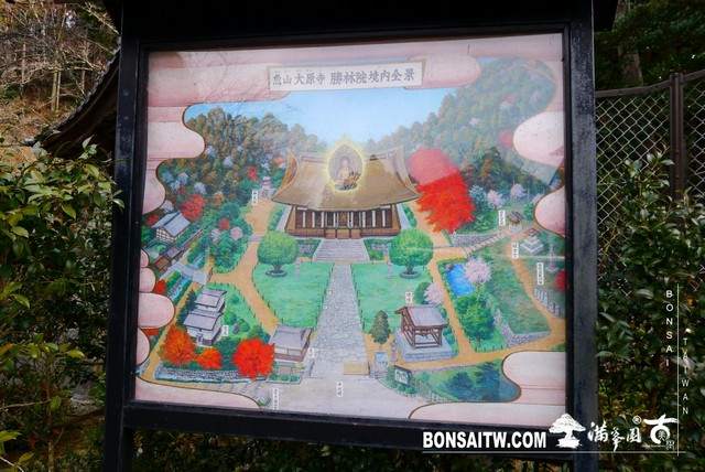 P1380323 [日本庭園]勝林院(Shorin-in Temple)