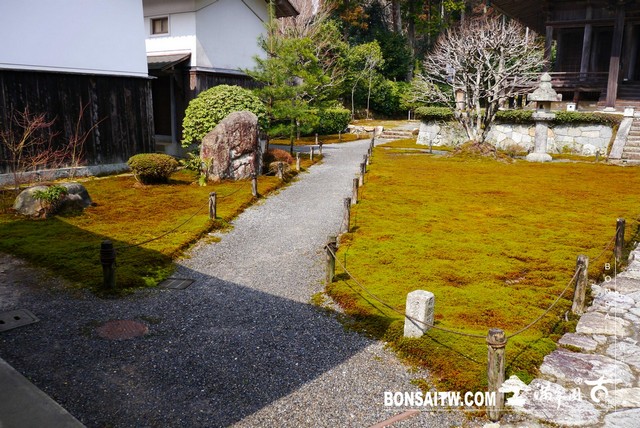 P1380336 [日本庭園]勝林院(Shorin-in Temple)