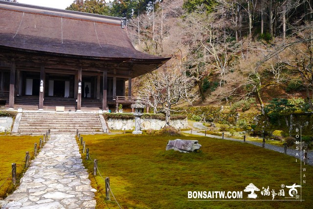 P1380339 [日本庭園]勝林院(Shorin-in Temple)