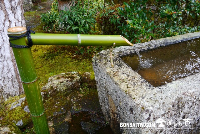 P1380345 [日本庭園]勝林院(Shorin-in Temple)