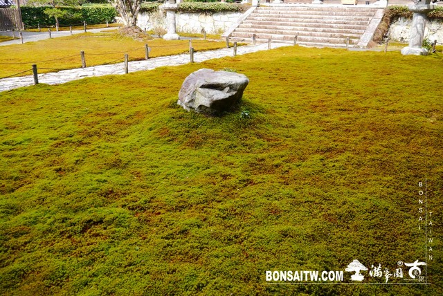 P1380352 [日本庭園]勝林院(Shorin-in Temple)