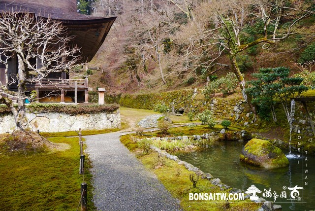 P1380354 [日本庭園]勝林院(Shorin-in Temple)