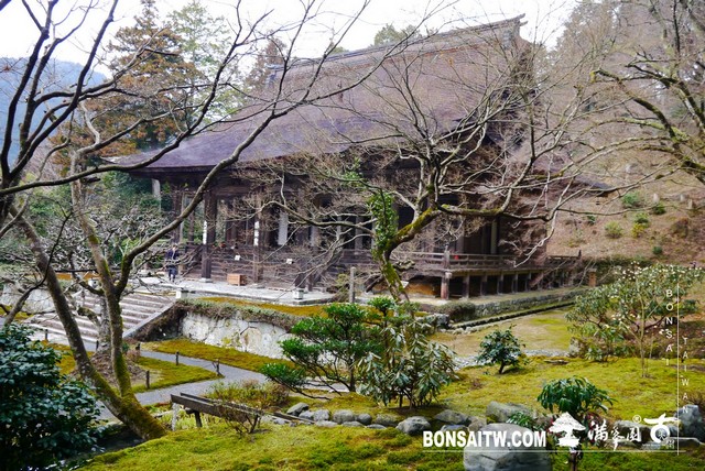 P1380359 [日本庭園]勝林院(Shorin-in Temple)